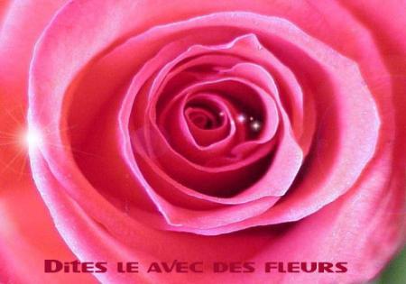pour toi