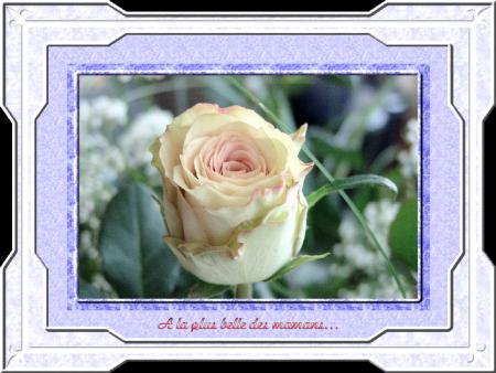 pour toi maman