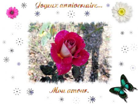 joyeux anniversaire mon amour