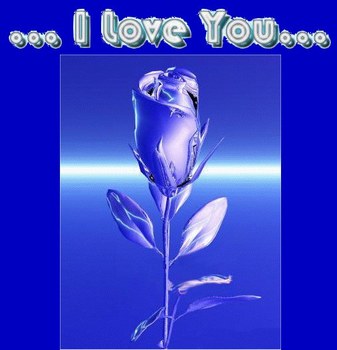 i love you