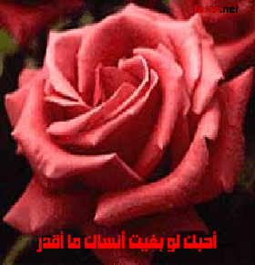 i love